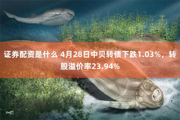 证券配资是什么 4月28日中贝转债下跌1.03%，转股溢价率23.94%