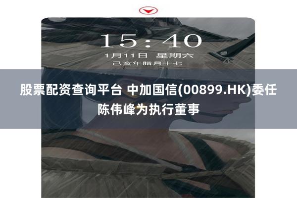 股票配资查询平台 中加国信(00899.HK)委任陈伟峰为执行董事