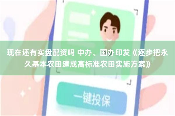 现在还有实盘配资吗 中办、国办印发《逐步把永久基本农田建成高标准农田实施方案》