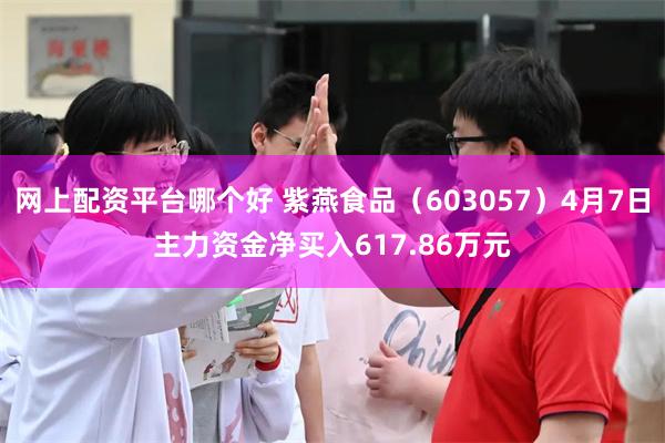 网上配资平台哪个好 紫燕食品（603057）4月7日主力资金净买入617.86万元