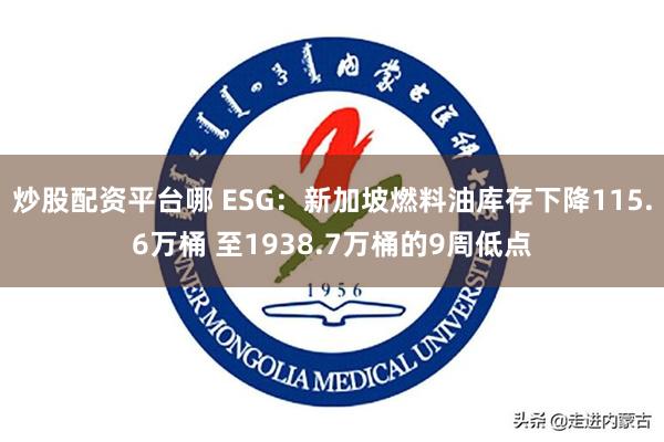 炒股配资平台哪 ESG：新加坡燃料油库存下降115.6万桶 至1938.7万桶的9周低点
