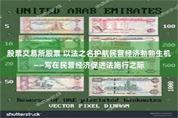 股票交易所股票 以法之名护航民营经济勃勃生机——写在民营经济促进法施行之际