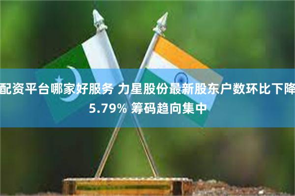 配资平台哪家好服务 力星股份最新股东户数环比下降5.79% 筹码趋向集中