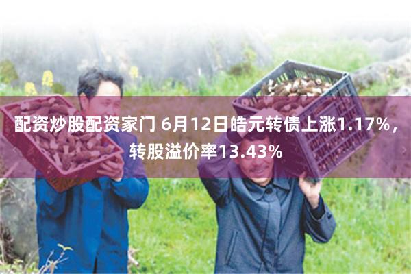 配资炒股配资家门 6月12日皓元转债上涨1.17%，转股溢价率13.43%