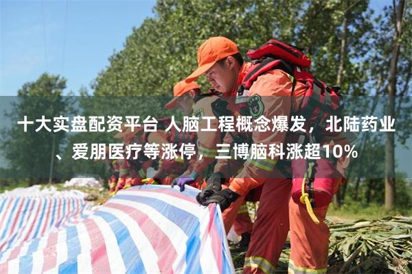 十大实盘配资平台 人脑工程概念爆发，北陆药业、爱朋医疗等涨停，三博脑科涨超10%