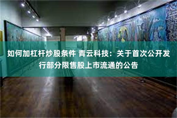 如何加杠杆炒股条件 青云科技：关于首次公开发行部分限售股上市流通的公告