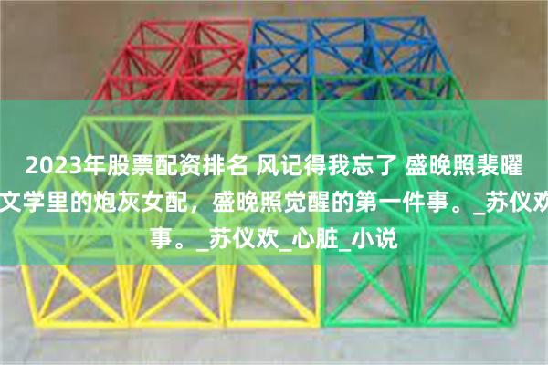 2023年股票配资排名 风记得我忘了 盛晚照裴曜沉 作为疯批文学里的炮灰女配，盛晚照觉醒的第一件事。_苏仪欢_心脏_小说