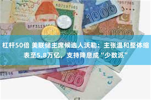 杠杆50倍 美联储主席候选人沃勒：主张温和整体缩表至5.8万亿，支持降息成“少数派”