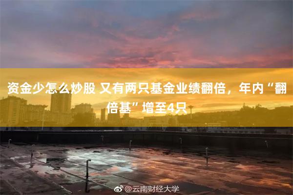 资金少怎么炒股 又有两只基金业绩翻倍，年内“翻倍基”增至4只