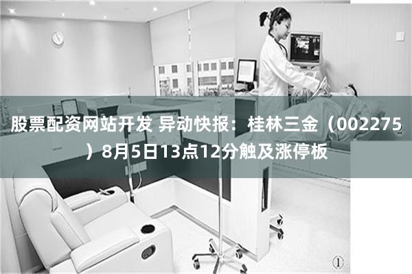 股票配资网站开发 异动快报：桂林三金（002275）8月5日13点12分触及涨停板