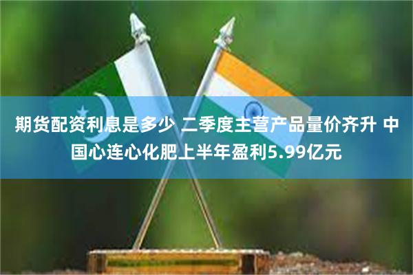 期货配资利息是多少 二季度主营产品量价齐升 中国心连心化肥上半年盈利5.99亿元