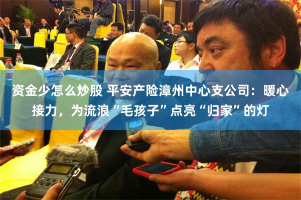 资金少怎么炒股 平安产险漳州中心支公司：暖心接力，为流浪“毛孩子”点亮“归家”的灯