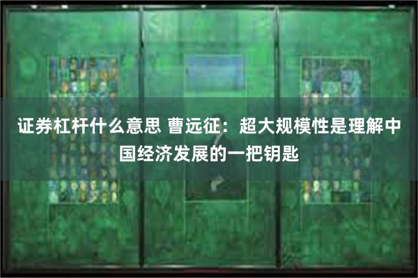 证券杠杆什么意思 曹远征：超大规模性是理解中国经济发展的一把钥匙
