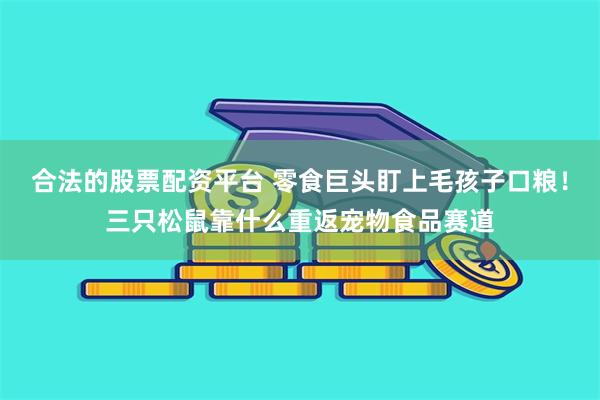 合法的股票配资平台 零食巨头盯上毛孩子口粮！三只松鼠靠什么重返宠物食品赛道