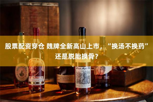 股票配资穿仓 魏牌全新高山上市，“换汤不换药”还是脱胎换骨？