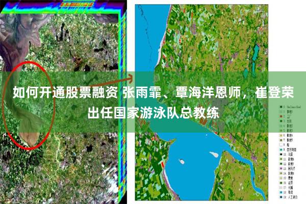 如何开通股票融资 张雨霏、覃海洋恩师，崔登荣出任国家游泳队总教练