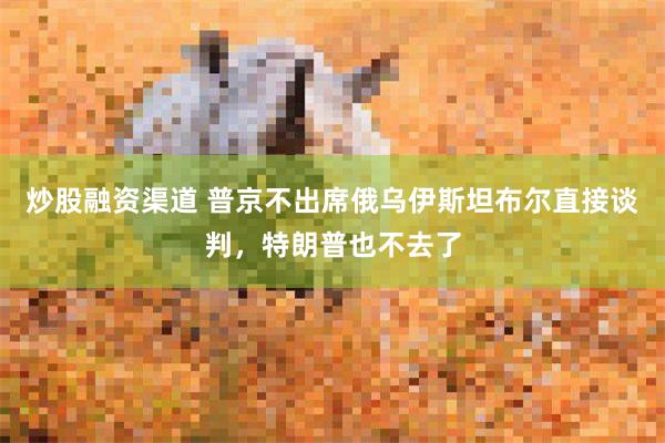 炒股融资渠道 普京不出席俄乌伊斯坦布尔直接谈判，特朗普也不去了