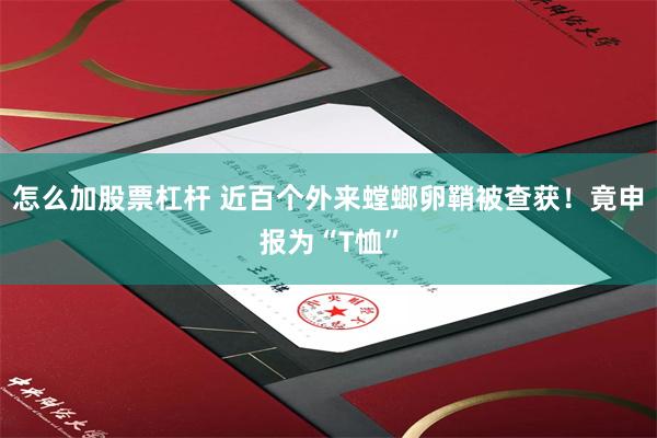 怎么加股票杠杆 近百个外来螳螂卵鞘被查获！竟申报为“T恤”