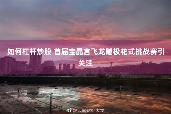 如何杠杆炒股 首届宝晶宫飞龙蹦极花式挑战赛引关注