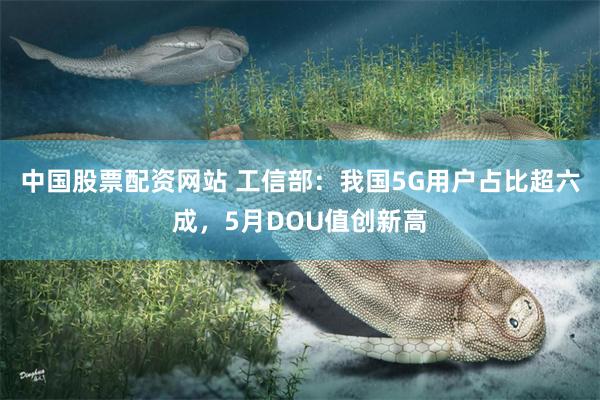 中国股票配资网站 工信部：我国5G用户占比超六成，5月DOU值创新高