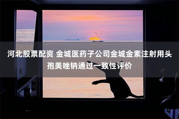 河北股票配资 金城医药子公司金城金素注射用头孢美唑钠通过一致性评价