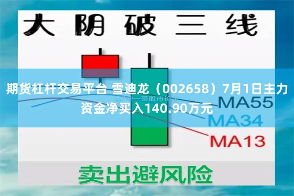 期货杠杆交易平台 雪迪龙（002658）7月1日主力资金净买入140.90万元