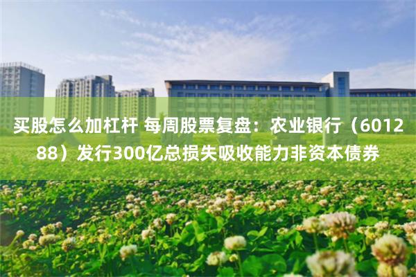 买股怎么加杠杆 每周股票复盘：农业银行（601288）发行300亿总损失吸收能力非资本债券