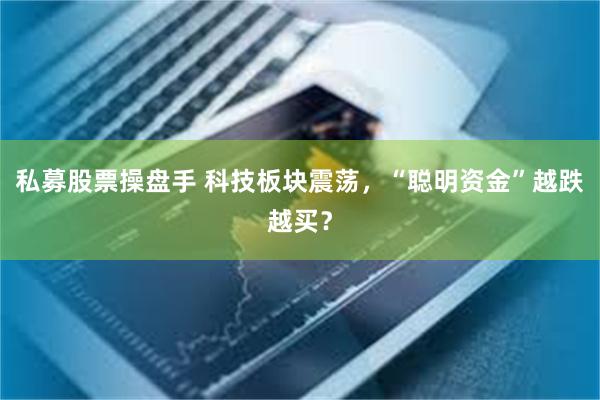 私募股票操盘手 科技板块震荡，“聪明资金”越跌越买？