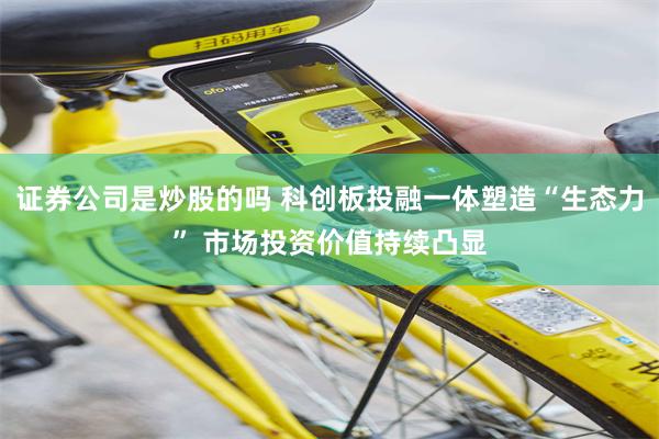 证券公司是炒股的吗 科创板投融一体塑造“生态力” 市场投资价值持续凸显