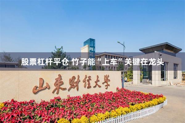 股票杠杆平仓 竹子能“上车”关键在龙头