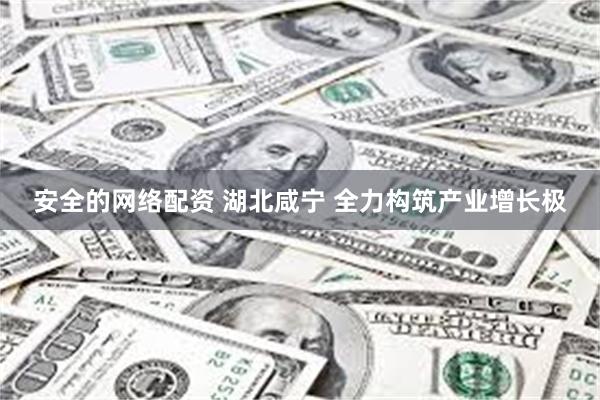 安全的网络配资 湖北咸宁 全力构筑产业增长极