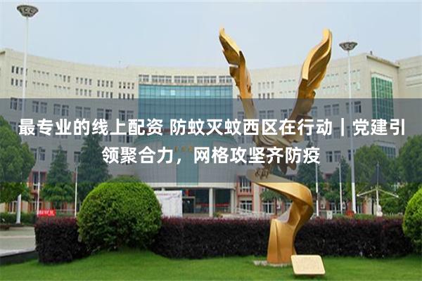最专业的线上配资 防蚊灭蚊西区在行动｜党建引领聚合力，网格攻坚齐防疫