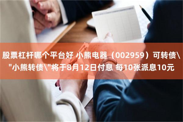 股票杠杆哪个平台好 小熊电器（002959）可转债