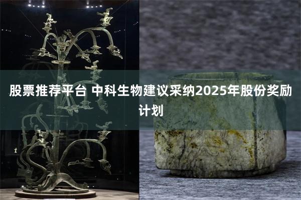 股票推荐平台 中科生物建议采纳2025年股份奖励计划