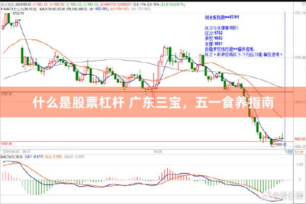 什么是股票杠杆 广东三宝，五一食养指南
