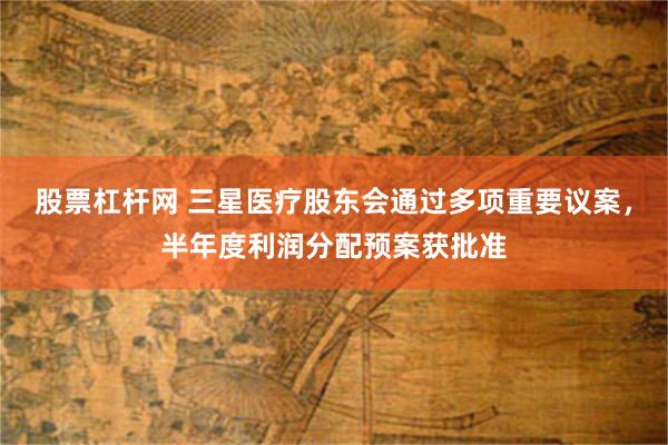 股票杠杆网 三星医疗股东会通过多项重要议案，半年度利润分配预案获批准