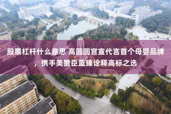 股票杠杆什么意思 高圆圆官宣代言首个母婴品牌，携手美赞臣蓝臻诠释高标之选