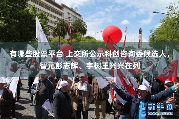 有哪些股票平台 上交所公示科创咨询委候选人，智元彭志辉、宇树王兴兴在列