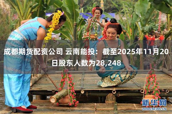 成都期货配资公司 云南能投：截至2025年11月20日股东人数为28,248
