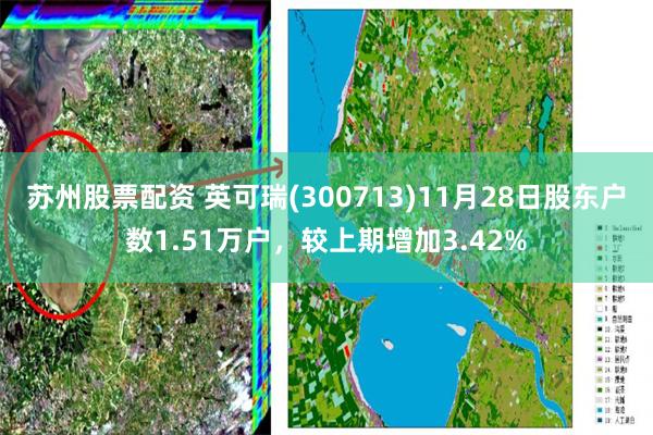 苏州股票配资 英可瑞(300713)11月28日股东户数1.51万户，较上期增加3.42%
