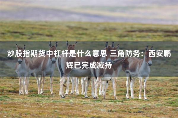 炒股指期货中杠杆是什么意思 三角防务：西安鹏辉已完成减持