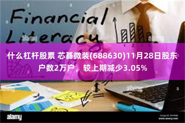 什么杠杆股票 芯碁微装(688630)11月28日股东户数2万户，较上期减少3.05%