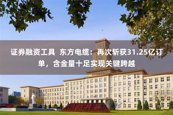 证券融资工具 东方电缆:再次斩获31.25亿订单,含金量十足实现关键跨越