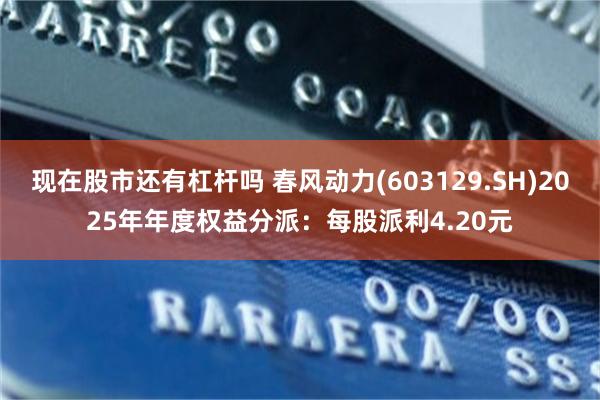 现在股市还有杠杆吗 春风动力(603129.SH)2025年年度权益分派：每股派利4.20元