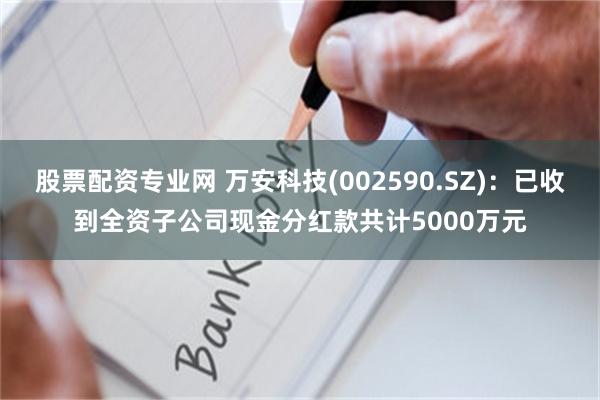 股票配资专业网 万安科技(002590.SZ):已收到全资子公司现金分红款共计5000万元