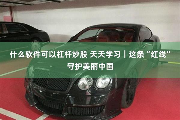 什么软件可以杠杆炒股 天天学习｜这条“红线”守护美丽中国