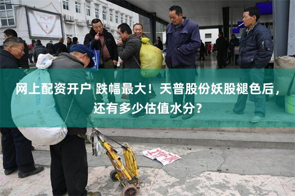 网上配资开户 跌幅最大！天普股份妖股褪色后，还有多少估值水分？