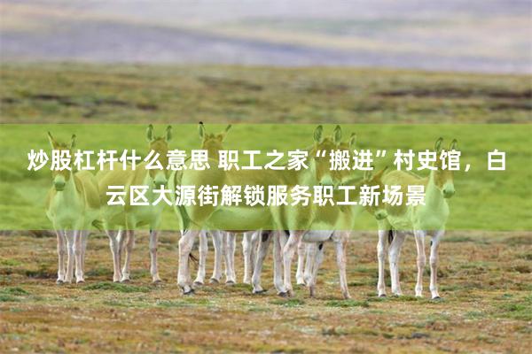 炒股杠杆什么意思 职工之家“搬进”村史馆,白云区大源街解锁服务职工新场景