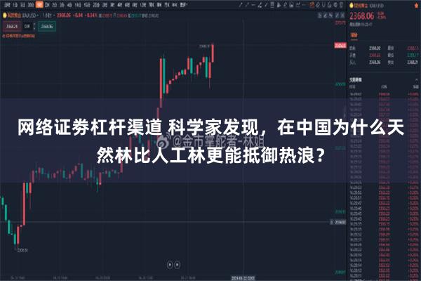 网络证劵杠杆渠道 科学家发现，在中国为什么天然林比人工林更能抵御热浪？