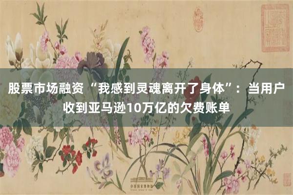 股票市场融资 “我感到灵魂离开了身体”：当用户收到亚马逊10万亿的欠费账单